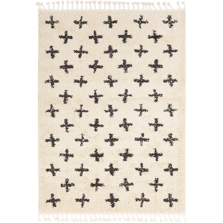 Livabliss Berber Shag BBE-2310 Area Rug , With Fringe BBE2310-679